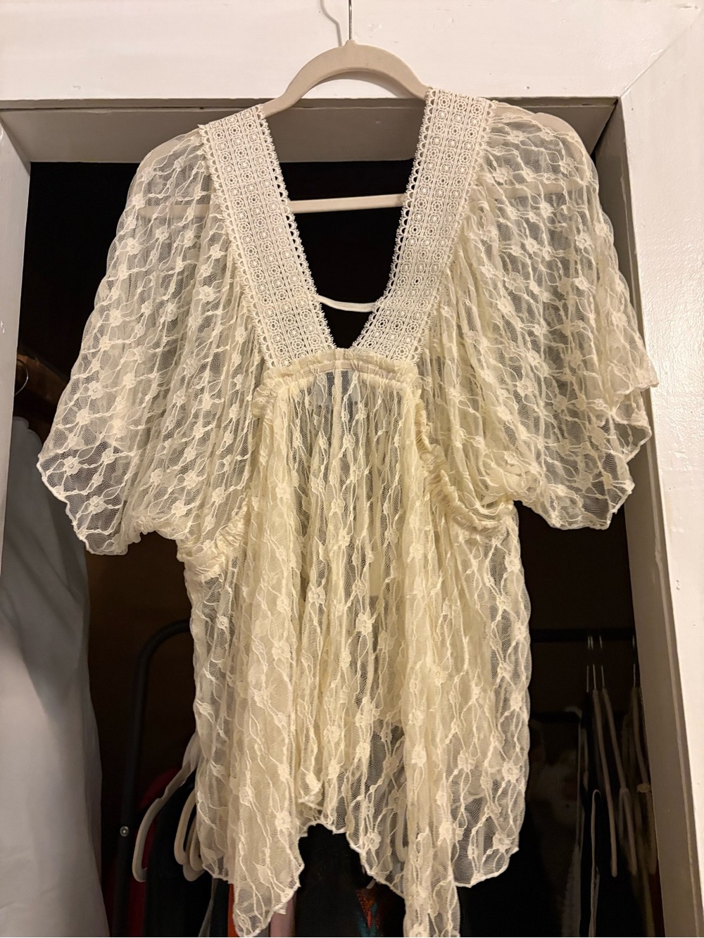 Buckle Cream Sheer Lace V-Neck Blouse